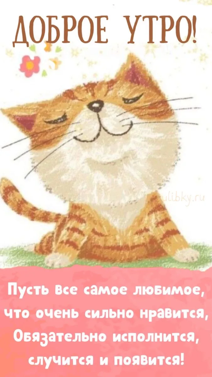 Позитивная открытка с добрым утром и котом