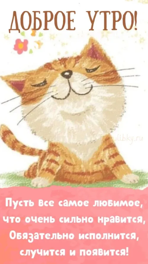 Позитивная открытка с добрым утром и котом