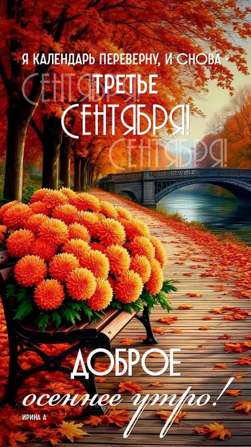Открытка с осенним утром и цветами
