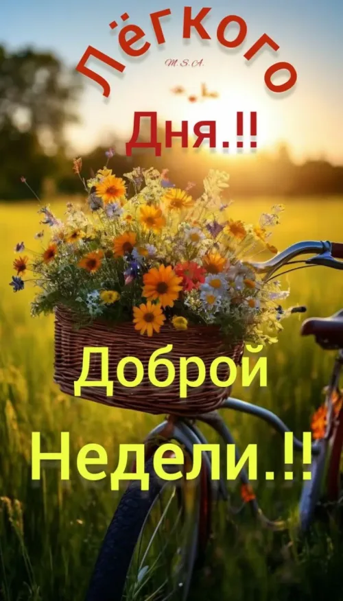 Открытка с Доброй Неделей и цветами в корзине