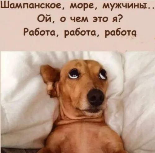 Прикольная открытка с добрым утром: забавный щенок в постели