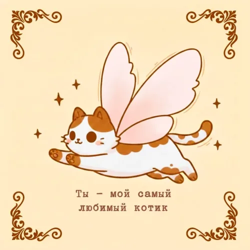 Открытка с котом и надписью 'Ты - мой самый любимый котик'