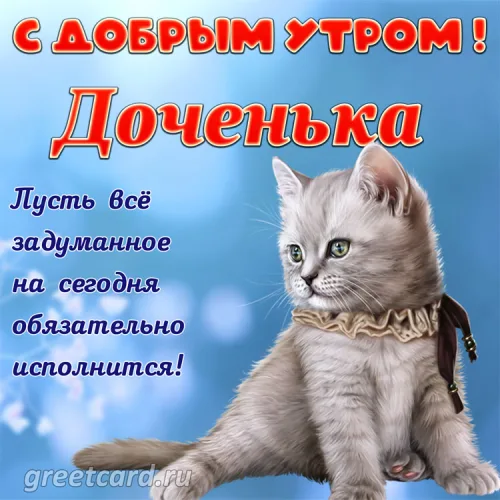 Утренняя открытка дочери с кошкой и цветами
