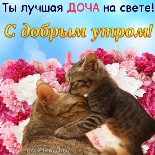Утренняя открытка с кошками и розами для дочки