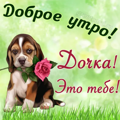Утренняя открытка дочери с розой