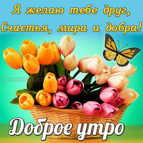 Открытка с тюльпанами и бабочкой доброе утро другу