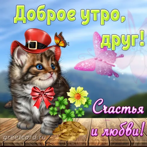 Утренняя открытка с кошкой и цветами для друга