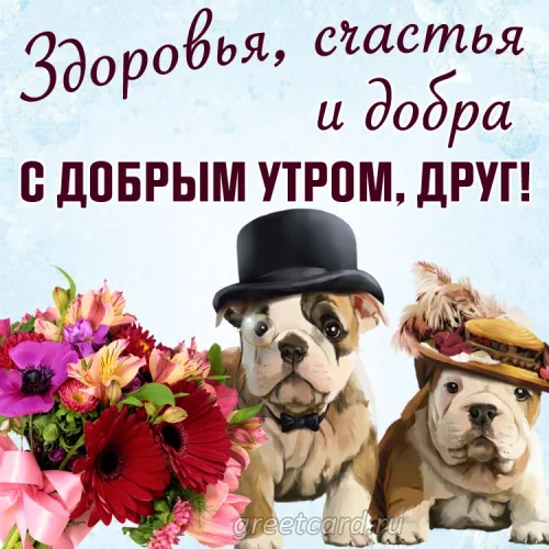 Открытка с добрым утром другу и цветами