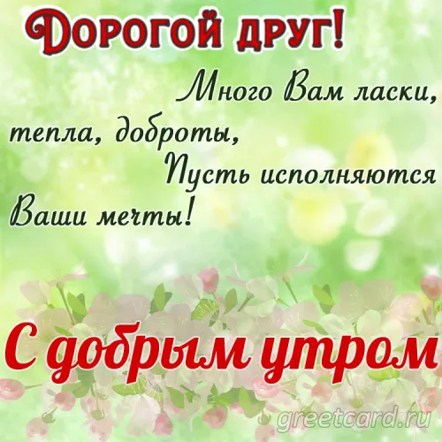 Открытка с добрым утром другу с цветами