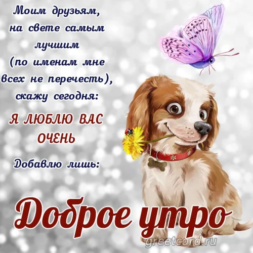 Открытка доброе утро другу с цветком и бабочкой