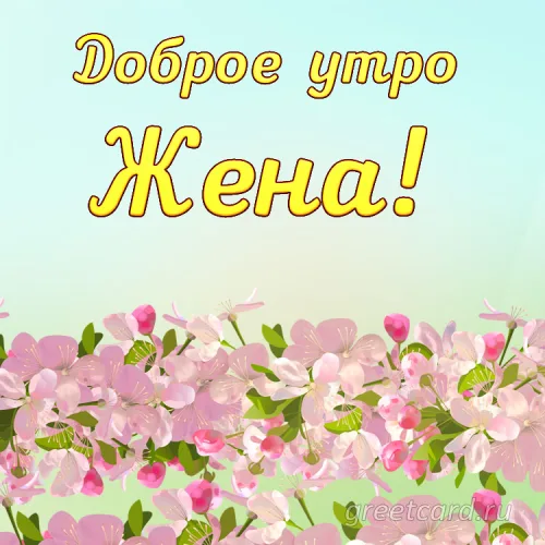 Открытка с цветами Жене на Доброе утро