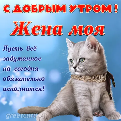 Утренняя открытка с кошкой и пожеланием жене