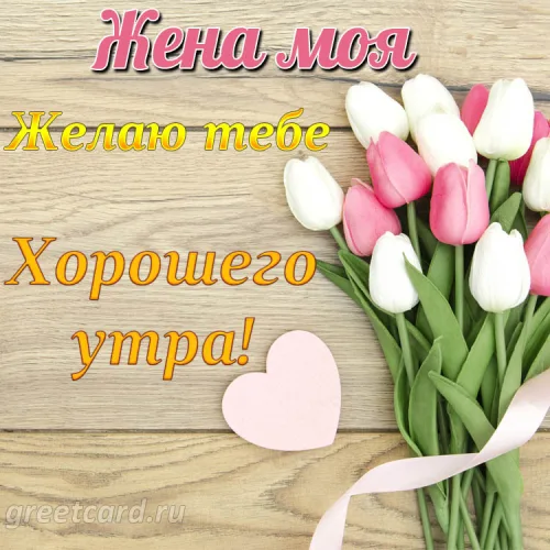 Открытка с тюльпанами: Жена, доброе утро!
