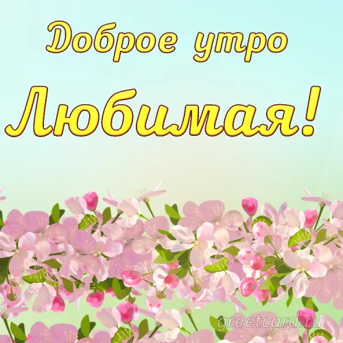 Открытка с цветами «Доброе утро, любимая»