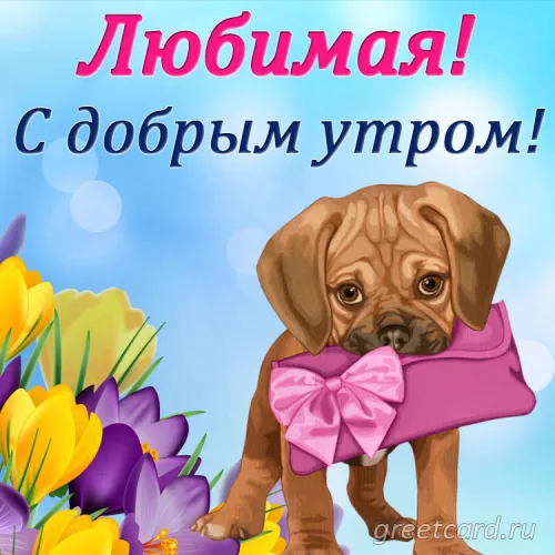 Открытка с добрым утром и милым щенком