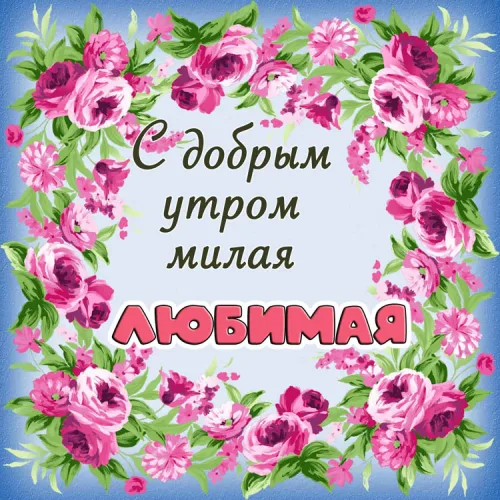 Открытка с добрым утром любимой с розами