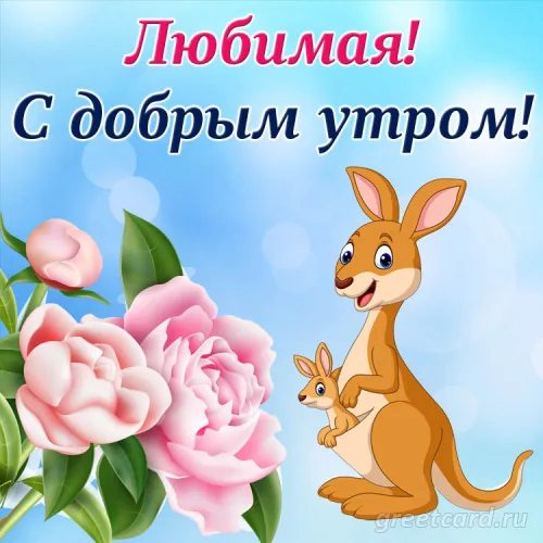 Открытка с кенгуру и розами: доброе утро любимой