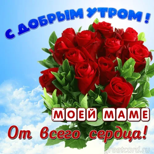 Открытка с добрым утром маме: букет красных роз