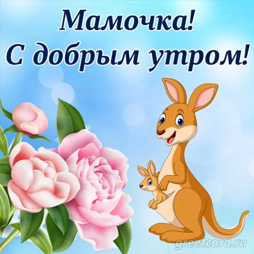 Утренняя открытка маме с цветами и кенгуру