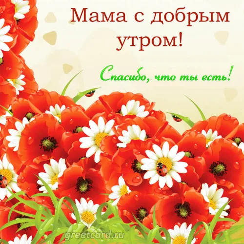 Открытка с добрым утром маме: цветы и утро