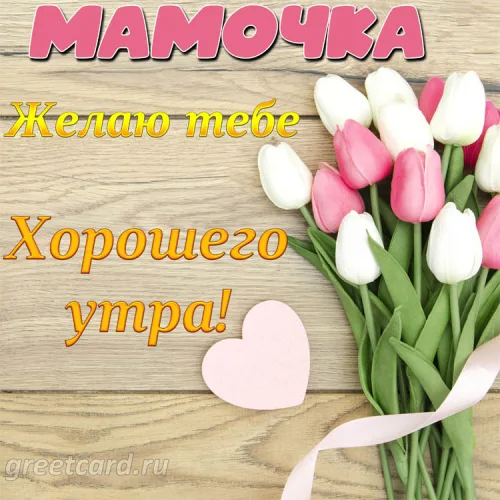Открытка маме с добрым утром и розовыми тюльпанами