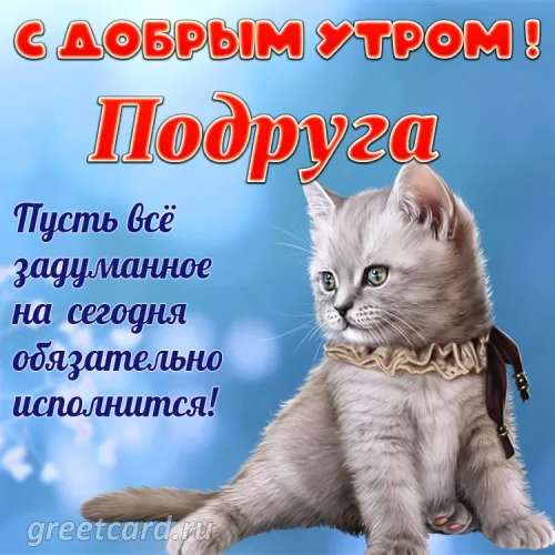Открытка с кошкой и пожеланием доброго утра для подруги