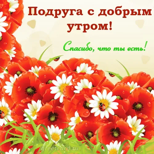 Открытка с цветами и утром для подруги