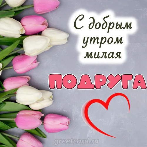 Доброе утро, подруга с тюльпанами