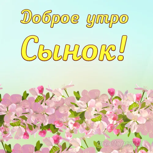 Открытка с цветами для сына: доброе утро