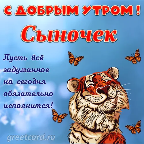 Утренняя открытка сыну с тигром и бабочками