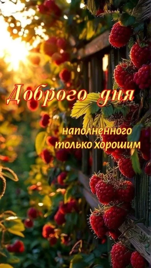 Открытка с доброго дня наполненного только хорошим