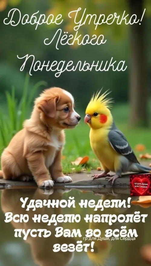 Открытка с добрым утром и понедельником