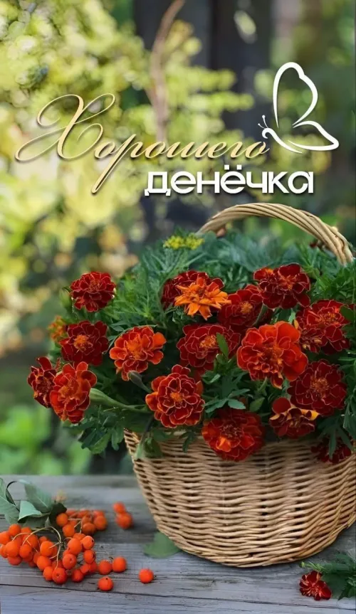 Открытка с цветами и пожеланием хорошего денёчка