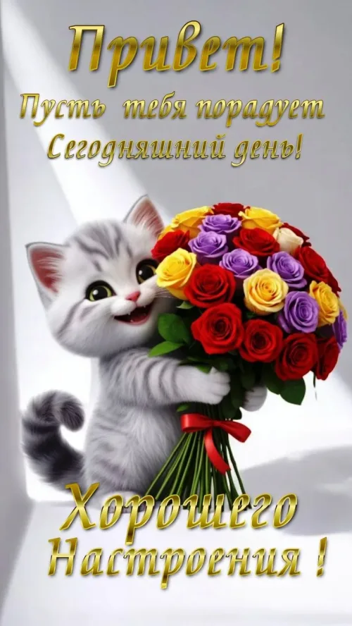 Открытка с котом и цветами: Привет! Хорошего настроения!