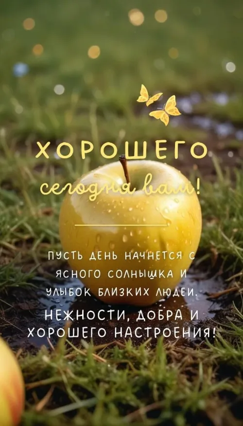 Открытка с яблоком и бабочками: Хорошего дня!