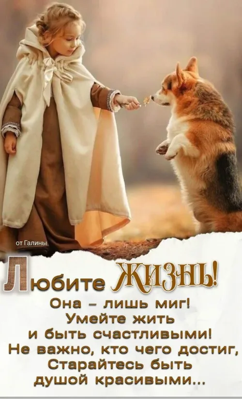 Открытка с добрым утром и собакой