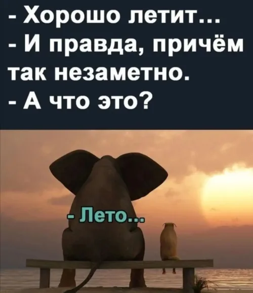 Прикольная открытка с добрым утром: слон летит незаметно