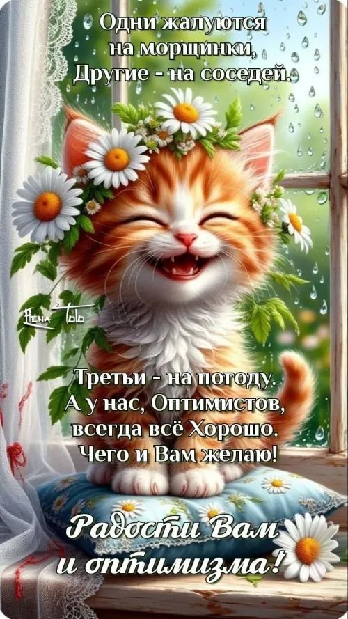 Позитивная открытка с добрым утром и котенком