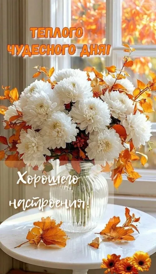 Открытка с белыми цветами и осенними листьями