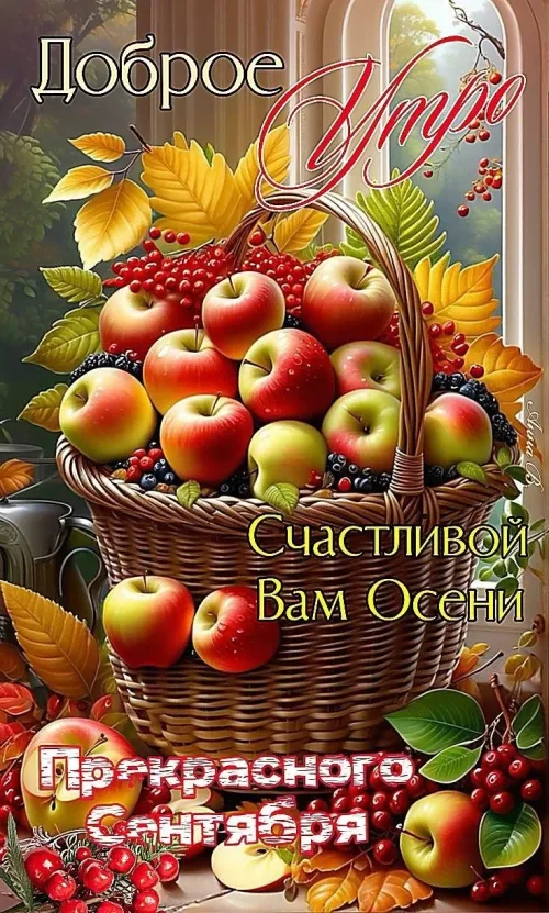 Утренняя открытка с осенними яблоками и ягодами