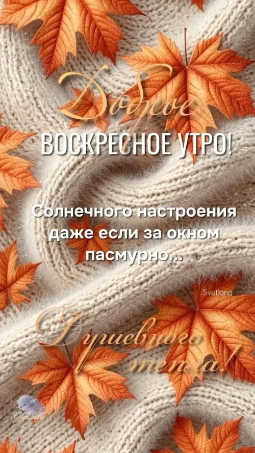 Открытка с доброе воскресное утро осенью