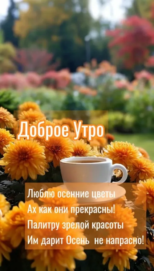 Открытка с добрым утром и осенними цветами