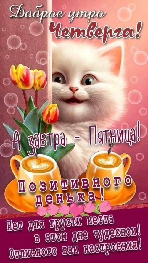 Позитивная открытка с добрым утром и котом