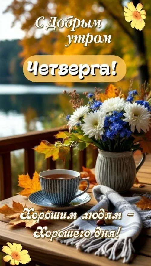 Открытка с добрым утром и цветами на четверг