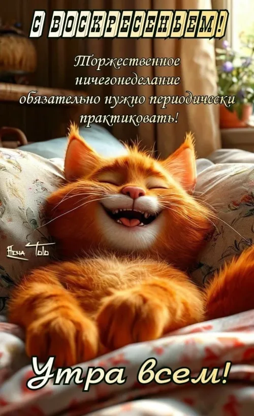 Открытка с воскресеньем: улыбающийся кот и цветы