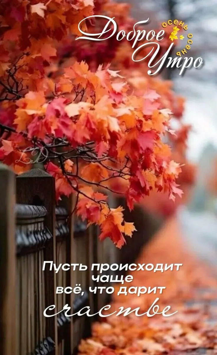 Открытка с Доброго утра осенью: счастье и красота