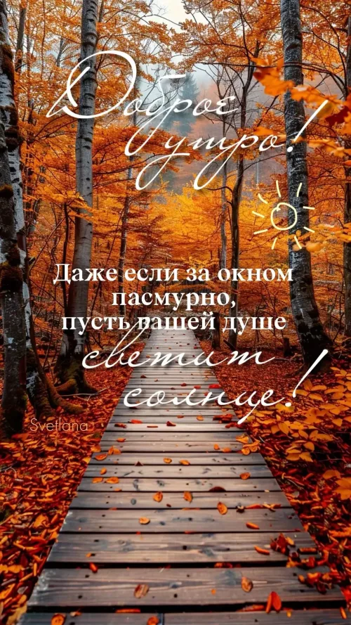 Открытка с доброе утро осенью в лесу