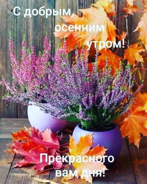 Открытка с осенним утром и цветами