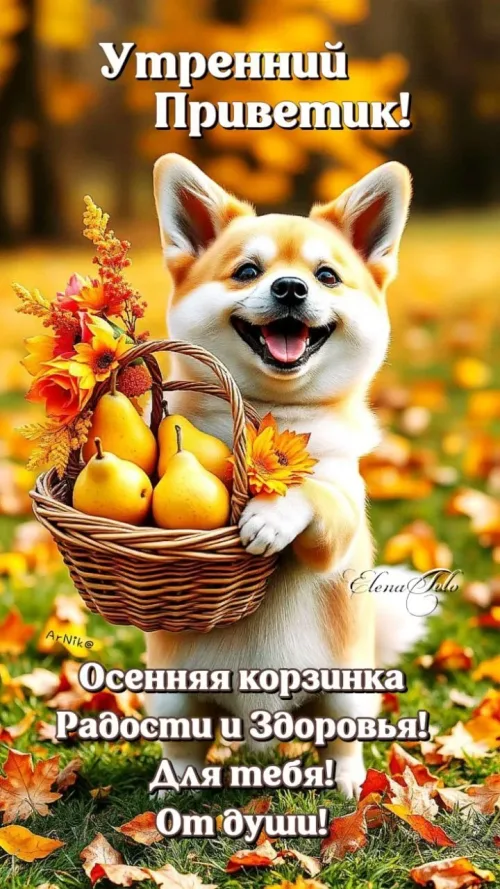 Утренняя открытка с осенним утром и корзинкой