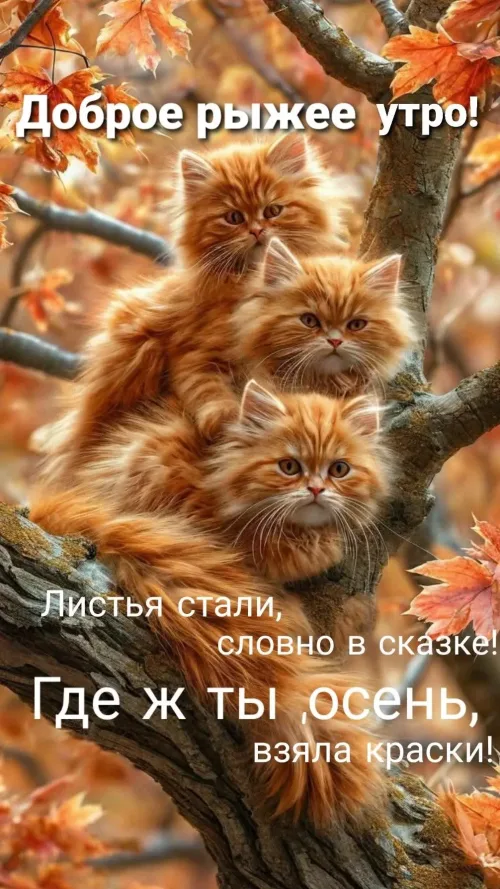 Открытка с добрым утром и осенними листьями